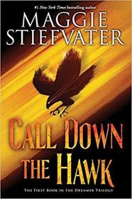 Call Down the Hawk (Dreamer, Bk 1)
