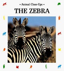 The Zebra: Striped Horse (Animal Close-Ups)