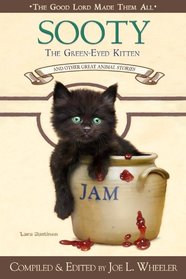 Sooty The Green-Eyed Kitten (Good Lord Made Them All)