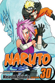 Naruto, Volume 30
