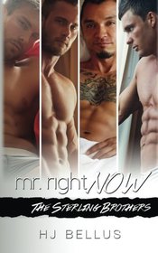 Mr. Right Now: Vol. 1-4