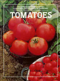 Tomatoes (Illustrated Encyclopedia of Gardening)