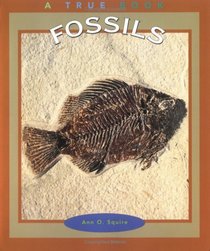 Fossils (True Books)