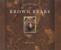 Brown Bears (Northern Trek)