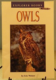 Owls (Explorer Books)