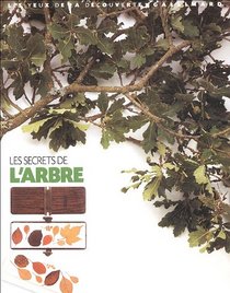 Secrets De L'arbre (French Edition)