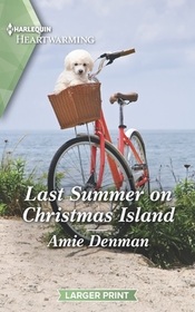 Last Summer on Christmas Island (Return to Christmas Island, Bk 4) (Harlequin Heartwarming, No 482) (Larger Print)