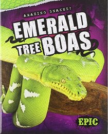 Emerald Tree Boas (Amazing Snakes!)