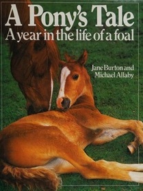 A Pony's Tale: A Year in the Life of a Foal