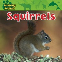 Squirrels (Amazing Animals)