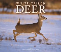 White-tailed Deer 2008 Deluxe Wall Calendar (Multilingual Edition)