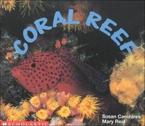 Coral Reef (Science Emergent Readers)