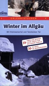 Winter im Allgu