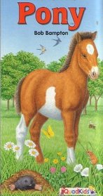 The Little Pony (Animal Friends Books)