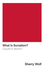 What is Socialism?