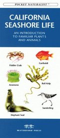 California Seashore Life: An Introduction to Familiar Plants and Animals (Pocket Naturalist Series)