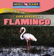 The Life Cycle of a Flamingo (Things With Wings)