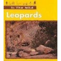 Leopards (In the Wild)