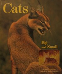 Cats Big and Small