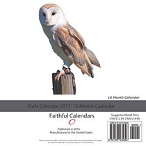 Owls Calendar 2017: 16 Month Calendar