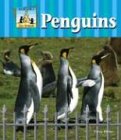 Penguins (Zoo Animals)