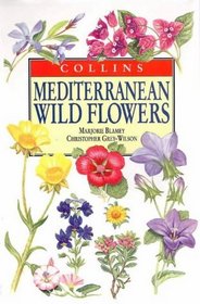 Mediterranean Wild Flowers (Natural History)