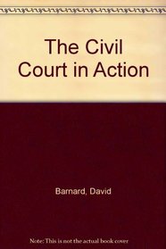 The Civil Court in Action