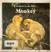 Monkey (Animals in the Wild)