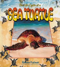 The Life Cycle of a Sea Turtle (The Life Cycle Series)