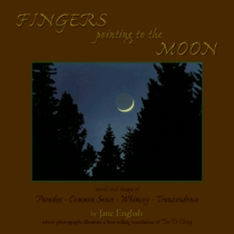Fingers Pointing to the Moon: Words and Images of Paradox-Common Sense-Whimsy-Transcendence