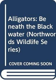 Alligators: Beneath the Blackwater (Northwords Wildlife Series)
