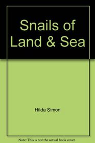 Snails of Land & Sea