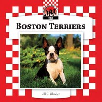Boston Terriers (Dogs Set 8)
