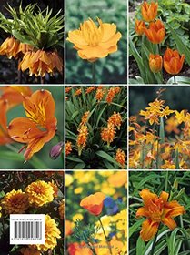The Gardener's Book of Colour (A Pimpernel Garden Classic)