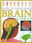 Brain And Nerves (Look at Your Body)