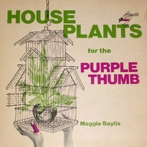 House Plants for the Purple Thumb