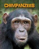 Chimpanzees (Heinemann Infosearch)