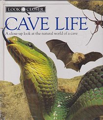 Cave Life (Look closer)