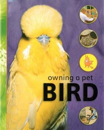 Bird (Owning a Pet)