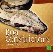 Boa Constrictors (First Facts)