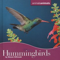 Hummingbirds (Animals Animals)