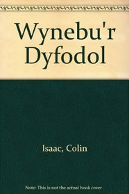 Wynebu'r Dyfodol