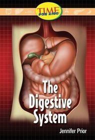 The Digestive System: Fluent Plus (Nonfiction Readers)