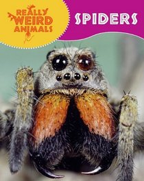 Spiders (Really Weird Animals)