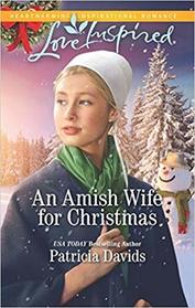 An Amish Wife for Christmas (North Country Amish, Bk 1) (Love Inspired, No 1171)
