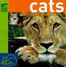 Cats: From Tigers to Tabbys (Animal Planet)