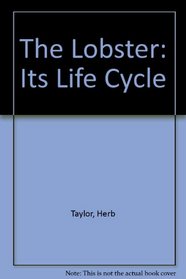 The Lobster: Its Life Cycle