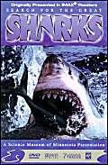 Search for the Great Sharks