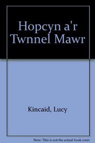 Hopcyn A'r Twnnel Mawr (Welsh Edition)