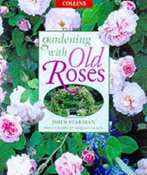 Collins Gardening with Old Roses